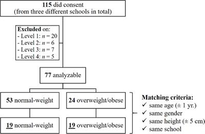 Decreased Postural Complexity in Overweight to Obese Children and Adolescents: A Cross-Sectional Study